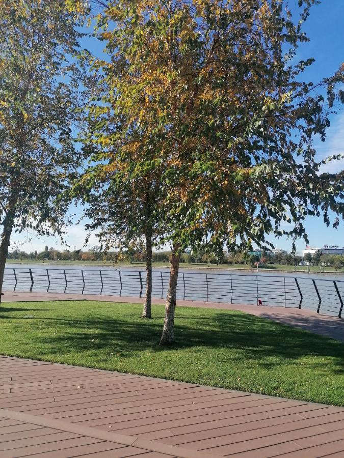 דירות Sajmiste Belgrade Waterfront Cozy Symphony 1 מראה חיצוני תמונה
